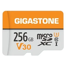 Gigastone 256GB Micro SD Card 4K Video Pro, GoPro, Drone,Nintendo-Switch