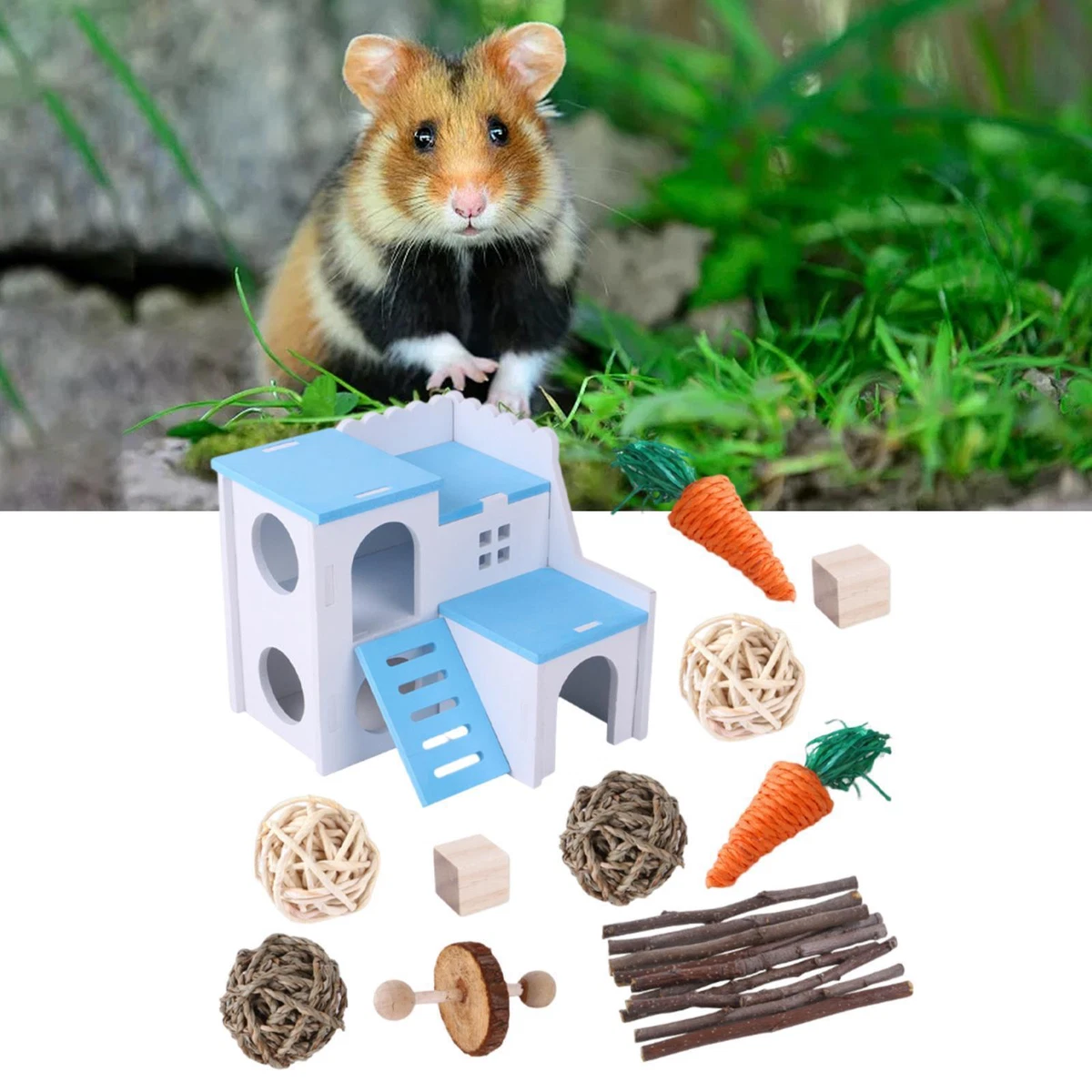 Hamster Chew Toys Small Pet Molar Toys for Teething Dwarf Hamsters
