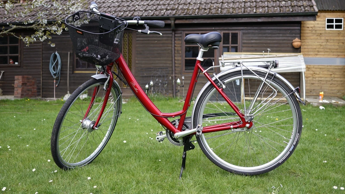 fahrradständer e bike fürs auto Fahrradträger Anhängerkupplung – Fahrradträger für E-Bikes & Standardräder, Kann 2 Fahrräder aufnehmen,Schnellspann-Sicherung, 13/7-Pin Lichtsystem, Universell & Aerodynamisch Auto & Motorrad Kabinettkäfer (Anthrenus museorum) » Hersteller_HERCULES Kleur:Mat Roze