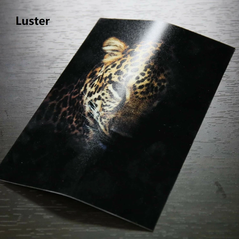 Koala Premium Luster Photo Paper 11x17 66lb Inkjet Printer 50 Sheets 250gsm - Image 2 of 4