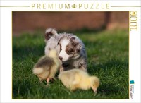 Calvendo Puzzle All My Little Geese | 1000 Pieces, Finished Size 25.2 × 18.9 In