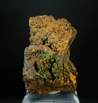 Conichalcite / Gold Hill Mine, Utah / Mineral Crystal Specimen