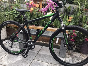 carrera hellcat ebay