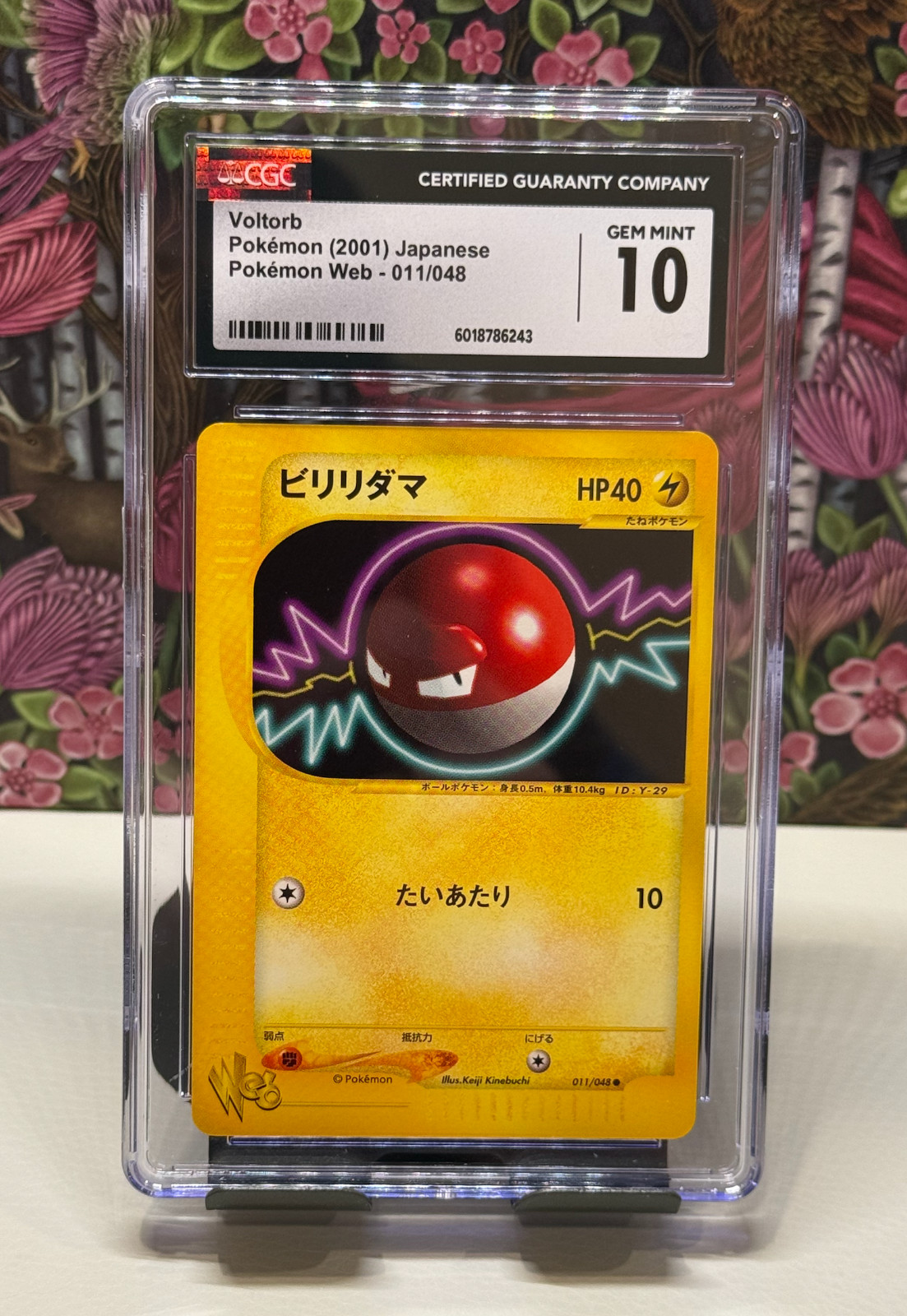 Voltorb Pokémon Web No. 011/048 (2001) Japanese POP5! CGC 10