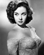 Sexy SUSAN HAYWARD Photo   (216-Y )