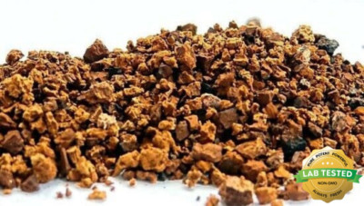 Wild Canadian Dry Chaga Mushroom Tea Chunks Nuggets 9 oz From Living Birch Trees