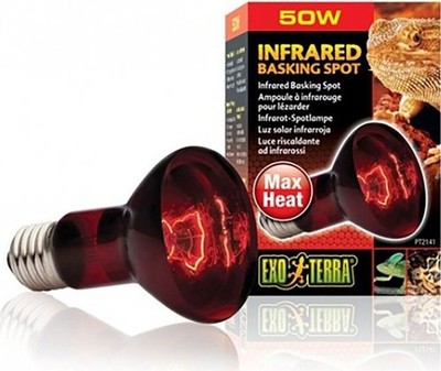 Exo Terra Heat Glo Infrared Heat Lamp R25 100W Terrarium