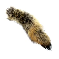 Real Coyote Hide Taxidermy Tail Tanned Fur Pelt Purse Charm Tag Keychain Decor