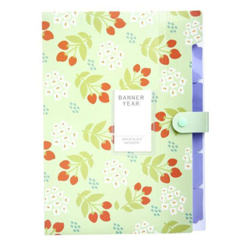 Documents Folder Reusable Waterproof Tab Page Accordions Folder Long Lasti Green - Picture 1 of 10