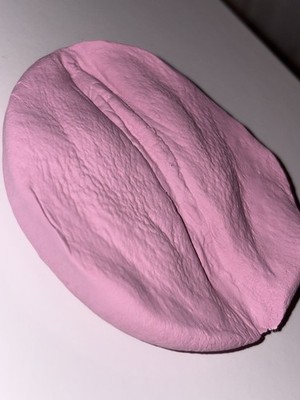 Vagina Gipsabdruck - Original Abdruck Vulva Kunst Intimabdruck Deko Handgemacht