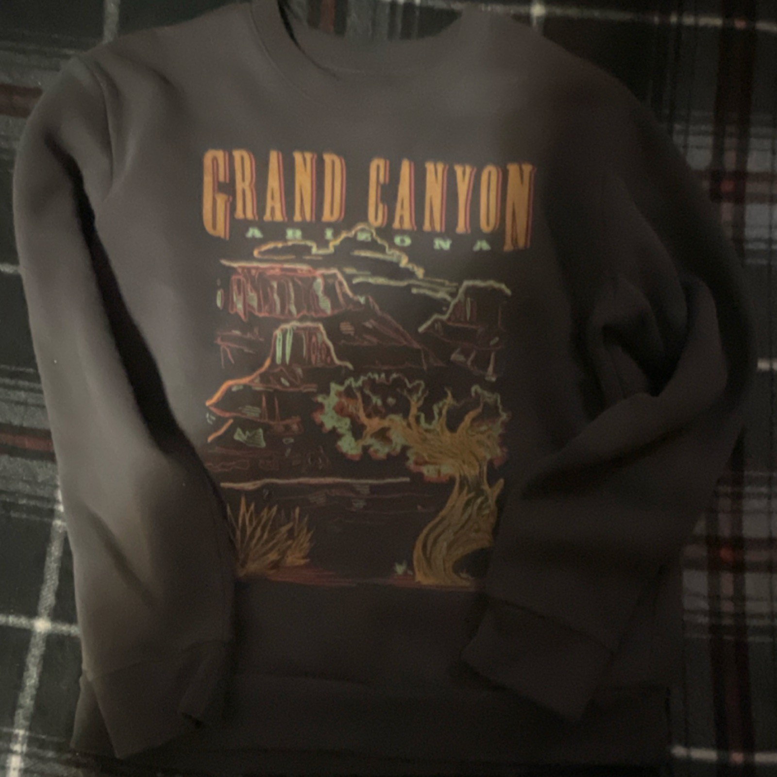 Hollister Grand Canyon Arizona Graphic Print Black Pullover Sweatshirt S
