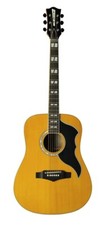 Eko chitarra acustica elettrificata Ranger VI VR Top Stained Natural EQ 4/4