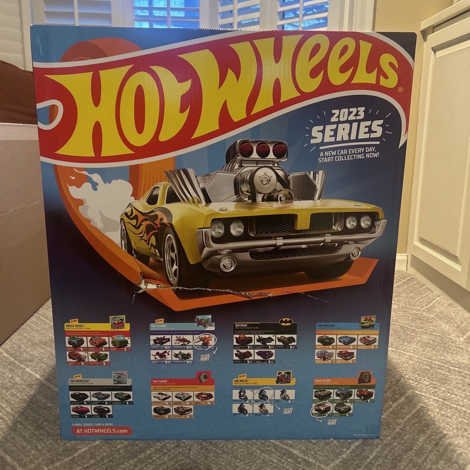 Hot Wheels RLC Exclusive 2023 Mainline Factory Sealed Set In Hand *See