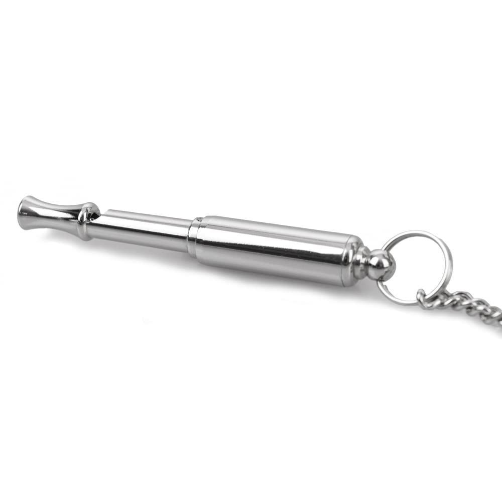 Stainless Steel Training Whistle Silver Training Tool Dog Whistle eBay