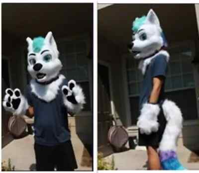 Husky Dog Fox Fursuit Furry Mascot Head Tail Gloves Suit Cosplay Fancy Dress @00