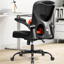 Ergonomic Office Chair with Adjustable Lumbar Support, High Back Mesh Compute...