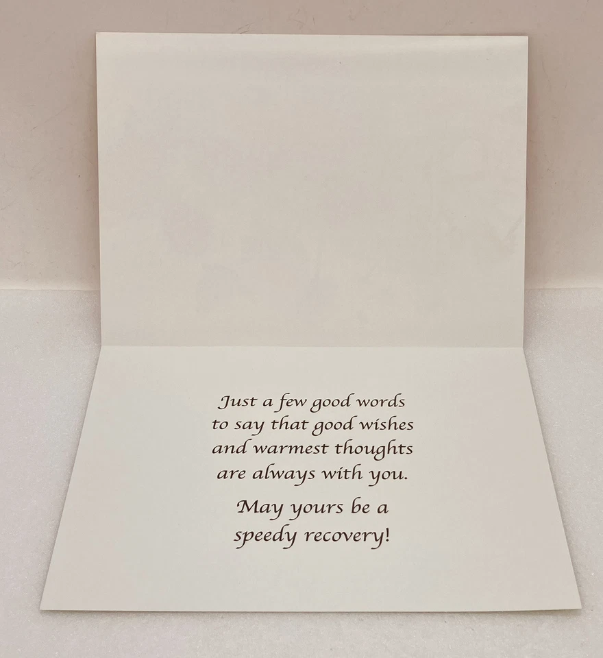 Get Well Soon Card Butterfly Collection “May Yours Be A Speedy Recovery” p3 - Image 3 of 3