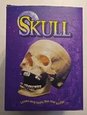 NEW! NIB Vintage 1995 The Paper Magic Group Feels Like Bone Scary 9 Inch Skull