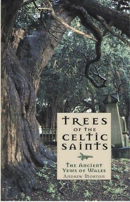 Andrew Morton Trees of the Celtic Saints  The Ancient Ye (Paperback) (UK IMPORT)