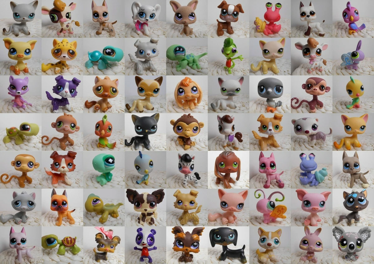 LPS Littlest pet shop chien European cat dogue colley cat dog rare