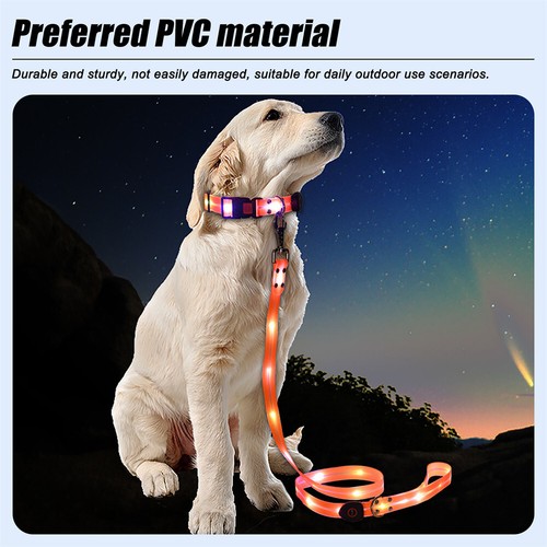 LED Light Up Dog Leash Luminous Rope Lead Leash Safety Flashing Glowing Collar - Picture 12 of 36