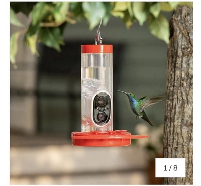 LED Smart Hummingbird Feeder with Camera
