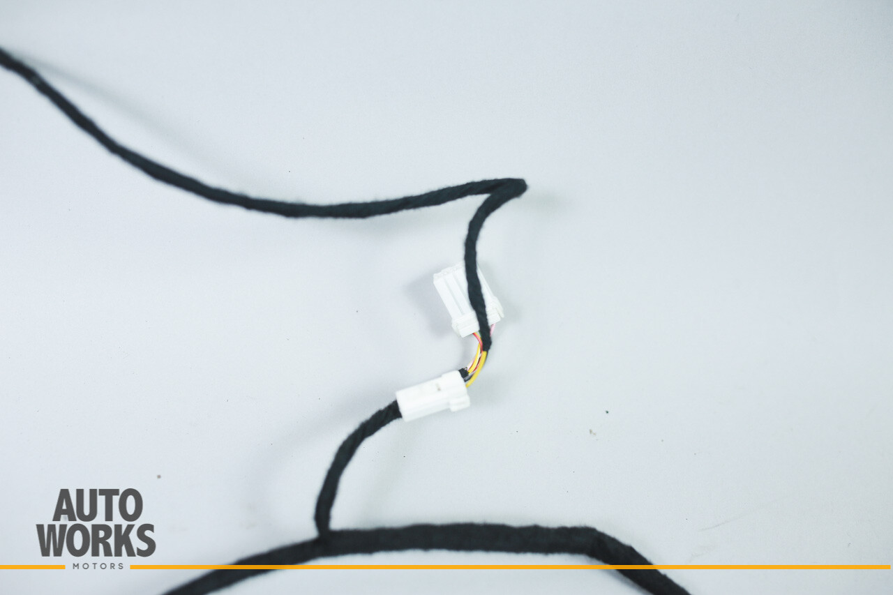 03-13 Maserati Quattroporte M139 Rear Left Side Door Wire Wiring Harness OEM