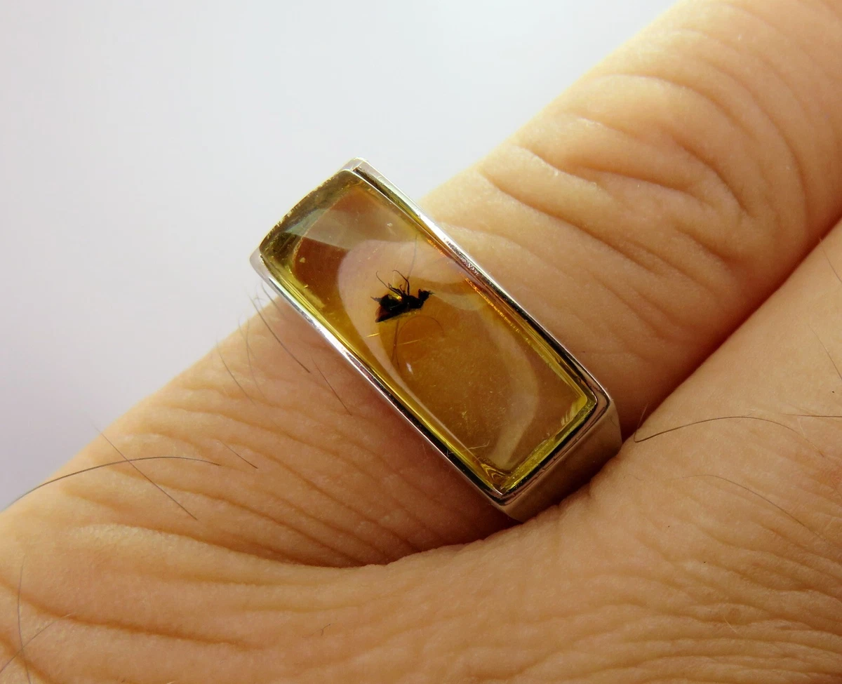 Mens amber on sale ring with insect