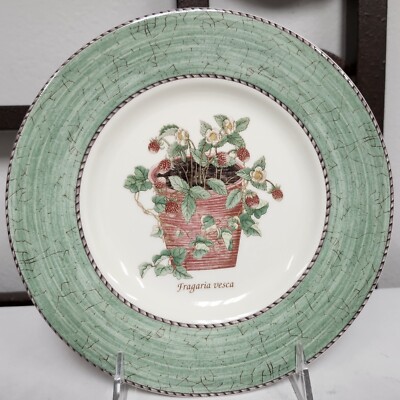 WEDGWOOD SARAH'S GARDEN GREEN Salad Plate Never Used BRAND NEW England