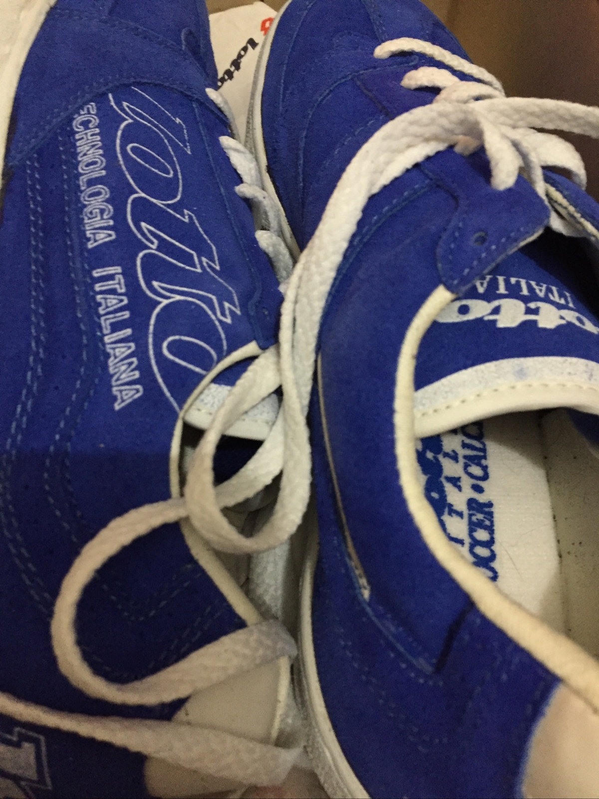 LOTTO SCARPE DA CALCIO INDOOR GATTO TAGLIA ROYAL: 8 5 nuove vecchie scorte rare