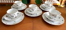 Hutschenreuther Maria Theresia Mirabell Kaffee Service für 5 Personen 15-Tlg TOP