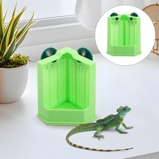  Ciotola da caccia angolare per rettili: scatola mangiatoia in plastica - piatto cibo con ventose