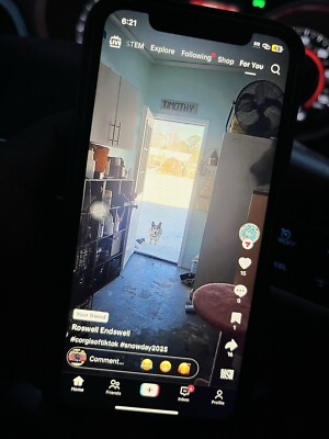 iPhone 11 With Working Tik Tok