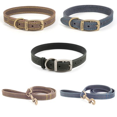 grey dog collar and lead