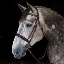 Whitaker Madrid Fancy Stitch Work Bridle With Clip Cheeks + 9 Loop Rubber Reins