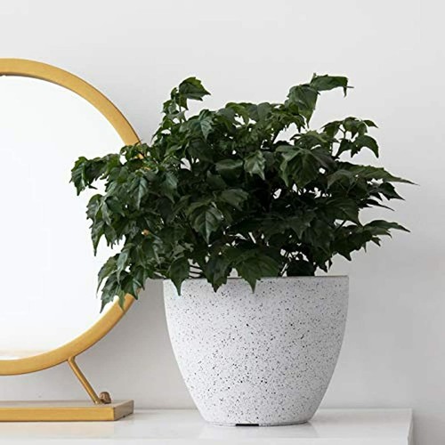 Flower Pots Outdoor Indoor Garden Planter Containers White (8.6 Inches, 1 Pack) - Picture 2 of 7