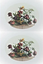 Pair of Water colour reproduction prints still life floral Edizioni Grafiche 