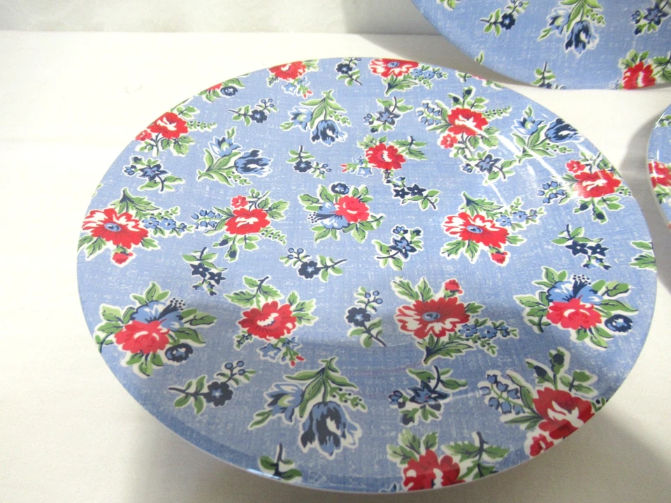 Mesa Sur La Casa de Verano Duradero Ligero Azul Melamina Platos Estampado Floral Foto 3 de 4