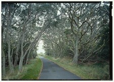 Mauna Loa Road,Volcano,Hawaii County,HI,Hawaii,Historic Engineering Record