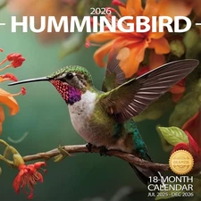2025-2026 Wall Calendar Hummingbird Planner Calendar, Hangable Monthly Wall Cale