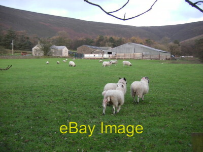 Foto 6x4 Holme House Farm, Bleasdale um 2009