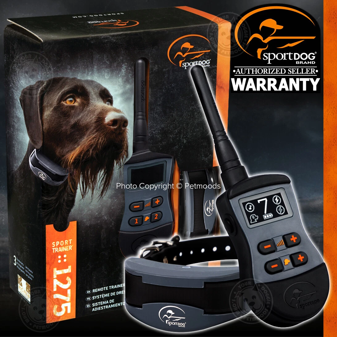 Petsafe sportdog sporttrainer top