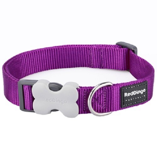 Red Dingo Classic Plain Nylon Dog Collar - XS, S, M, L - Picture 9 of 43