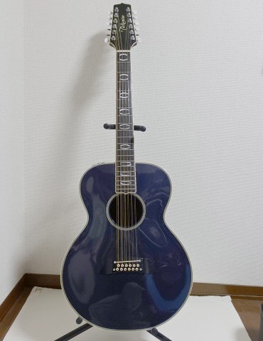 Takamine 12弦ギター　ハードケース付　NPT110-12 Takamine / NPT110-12 ブリッジ制作の巻！ – GuitarQuest