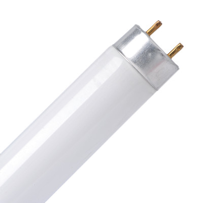 TCP LED T8 Röhre 800 lm kaltweiß 600 mm x 28 mm Glühbirne nicht dimmbar 