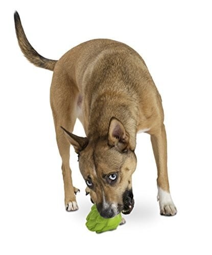 Planet Dog Orbee-Tuff with Treat Spot, Artichoke None - Picture 2 of 2