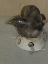 +# A000975_11 Goebel Archive Pattern Drip Catcher for Jug, Bird Bird YM103