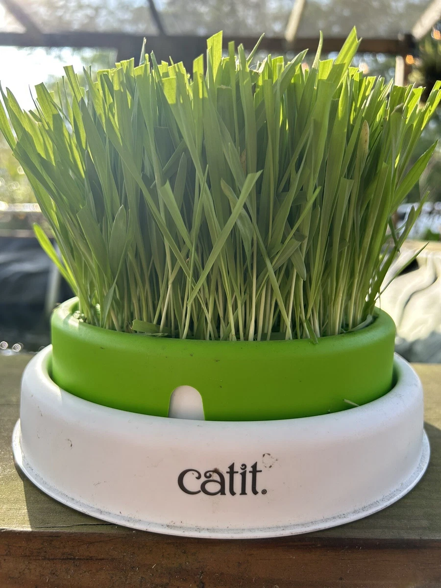 CATIT Senses 2.0 Cat Grass Planter 