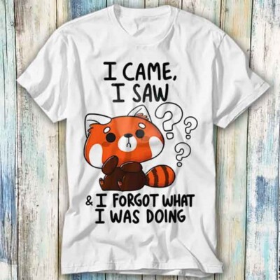 T-Shirt I Came I Saw I Forget What Was Doing Forget Meme Geschenk Top Unisex 501