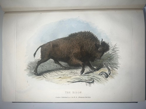 Cuvier 1824-1825 Private Collection Volume 103 H/C Plates Only Beautiful Fine - Bild 11 von 20